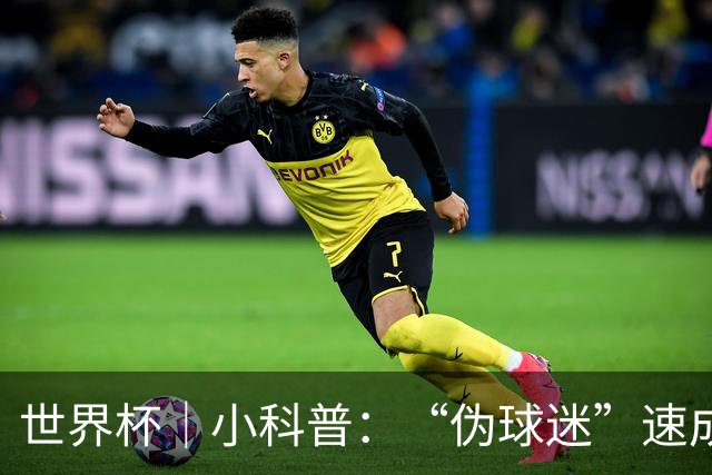 世界杯｜小科普：“伪球迷”速成手册